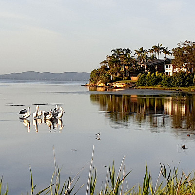 Центральный берег: между озерами и океаном
