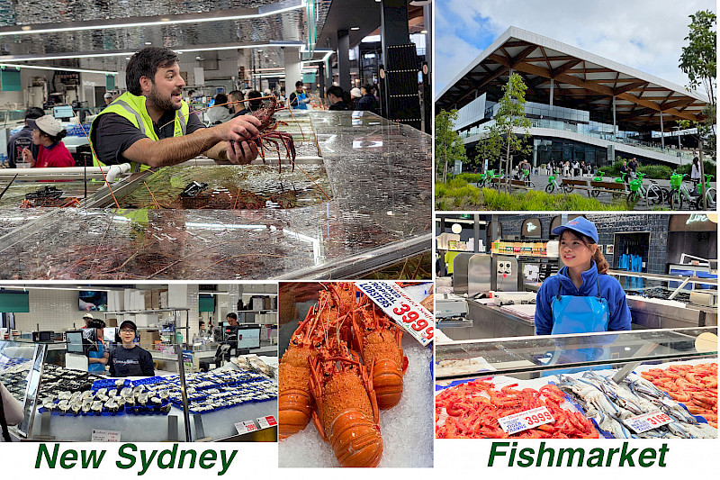 Sydneysiders' favourite market
