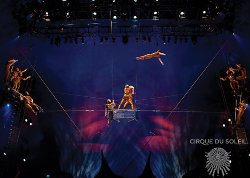 FlyingAct OVO Cirque du Soleil