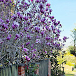 Полезны ли сомнения?