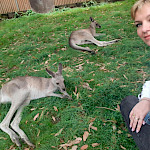 Случайности не случайны