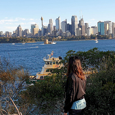 Сколько пассажиров на пароме в Manly?