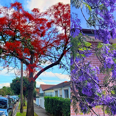 Обмен чудесами