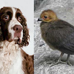 "Я здесь родился"