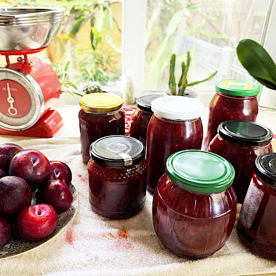 Какое лучше?