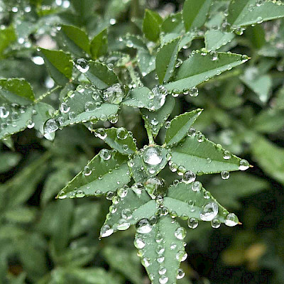 Мне нравится гулять под небольшим дождем