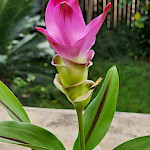 Поздравляем с 8 Марта!