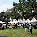 Кто рано встает...