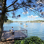 В нашем Бедламе